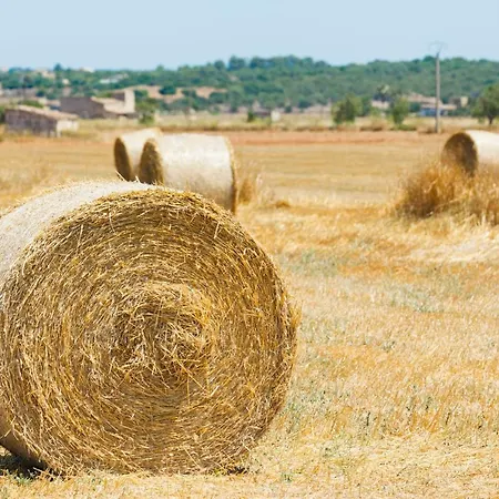 Holiday home 041 Roig Gran Et0309 By Mallorca Charme Pollenca