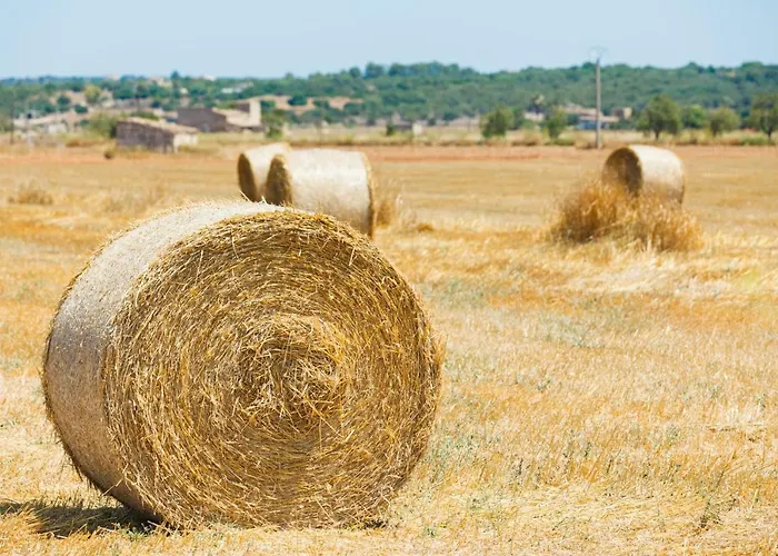 Holiday home 041 Roig Gran Et0309 By Mallorca Charme Pollenca