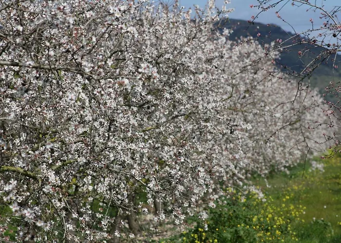 041 Roig Gran Et0309 By Mallorca Charme Holiday home