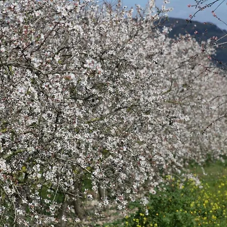 041 Roig Gran Et0309 By Mallorca Charme Hébergement de vacances