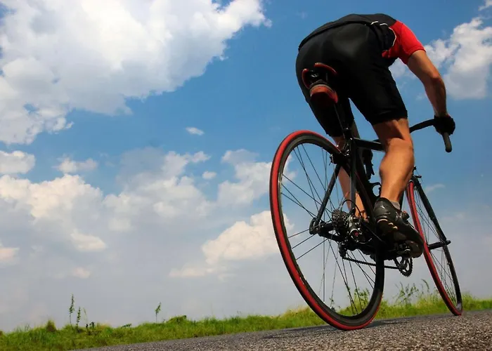 Σπίτι διακοπών 041 Roig Gran Et0309 By Mallorca Charme *